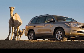 تویوتا لندکروزر - 20112 - 2010 LAND CRUISER
4WD
V6 & V8
تویوتا آریون 2007 - 2011 AURION
پرادو - لندکروزر - یاریس - تویوتا - کرولا - کرونا - کمری - آریون - 
2013- 1992 - TOYOTA - رامین شریف زاده - لوازم یدکی تویوتا 
2013 prado - camry

TOYOTAGATE
WWW.TOYOTAGATE.IR 
تویوتا گیت 